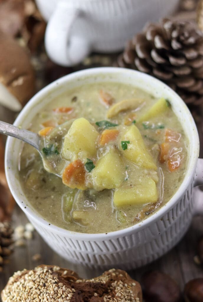 A spoon of porcini mushroom soup with potatoes, carrots and fresh parsley.